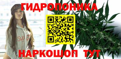 молекула духа Лесосибирск