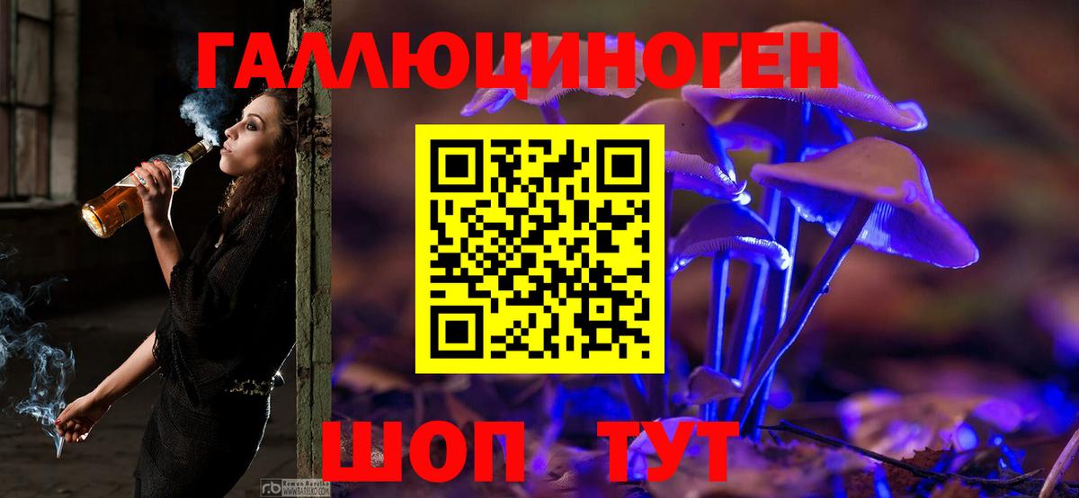Галлюциногенные грибы прущие грибы Грозный