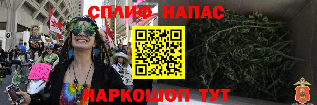 Канабис конопля Грозный